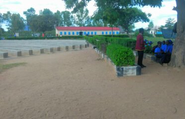 Chemhondoro High School