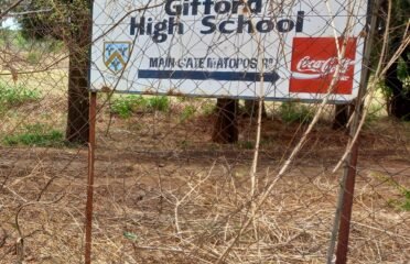 Gifford High School