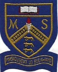 Mzilikazi High School