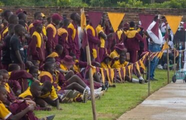 Bernard Mizeki College