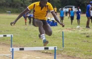 Bernard Mizeki College