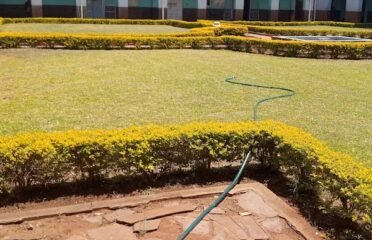 Allan Wilson High School